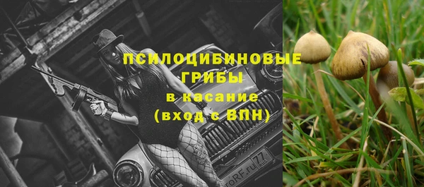 тгк Алзамай