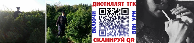 Дистиллят ТГК вейп  Купить где  Канск 